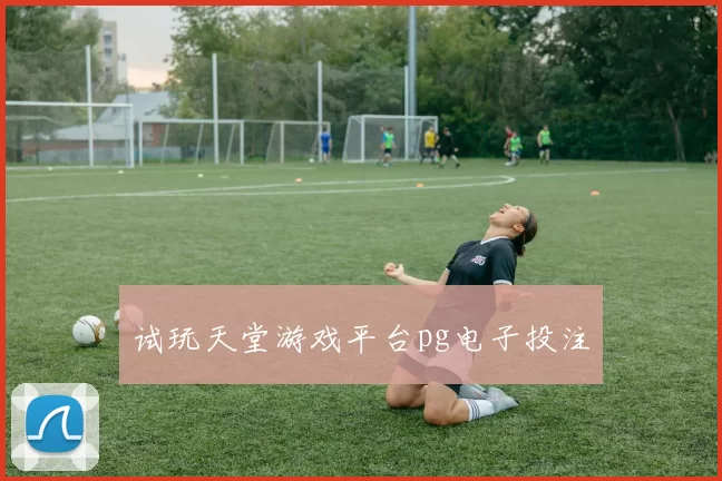 试玩天堂游戏平台pg电子投注