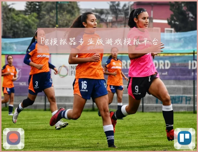 Pg模拟器专业版游戏模拟平台