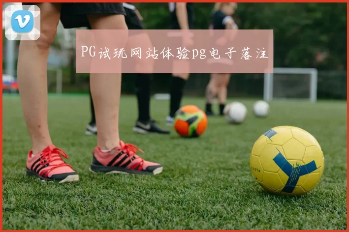 PG试玩网站体验pg电子落注