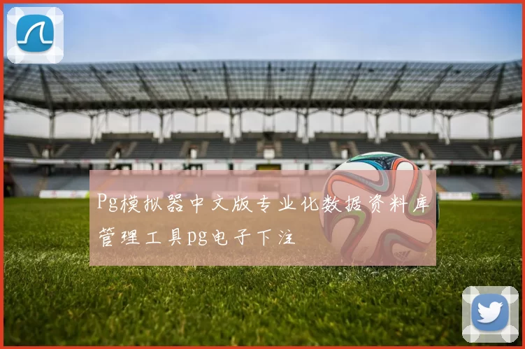 Pg模拟器中文版专业化数据资料库管理工具pg电子下注