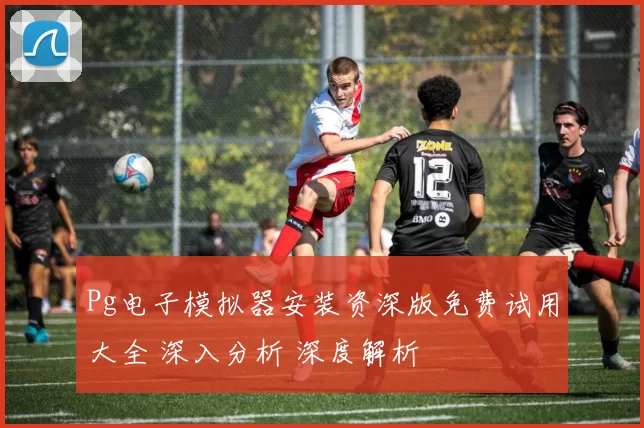 Pg电子模拟器安装资深版免费试用大全 深入分析 深度解析