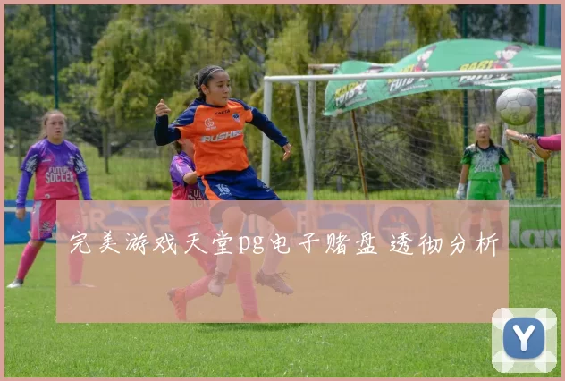 完美游戏天堂pg电子赌盘 透彻分析