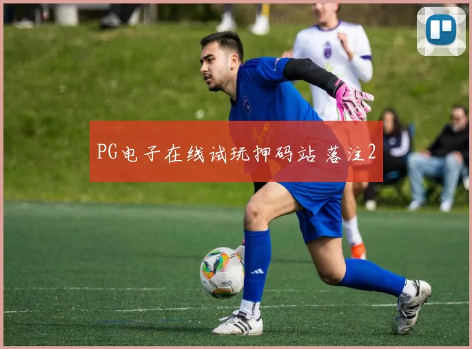 PG电子在线试玩押码站 落注2