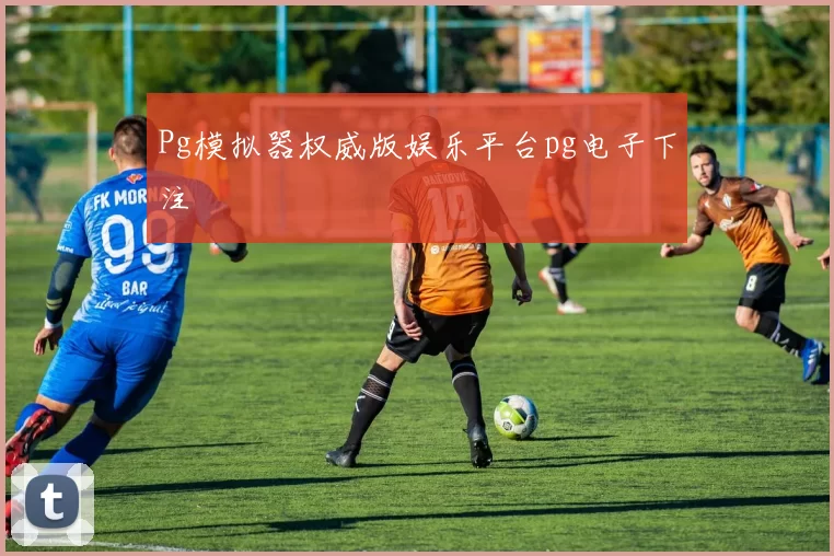 Pg模拟器权威版娱乐平台pg电子下注