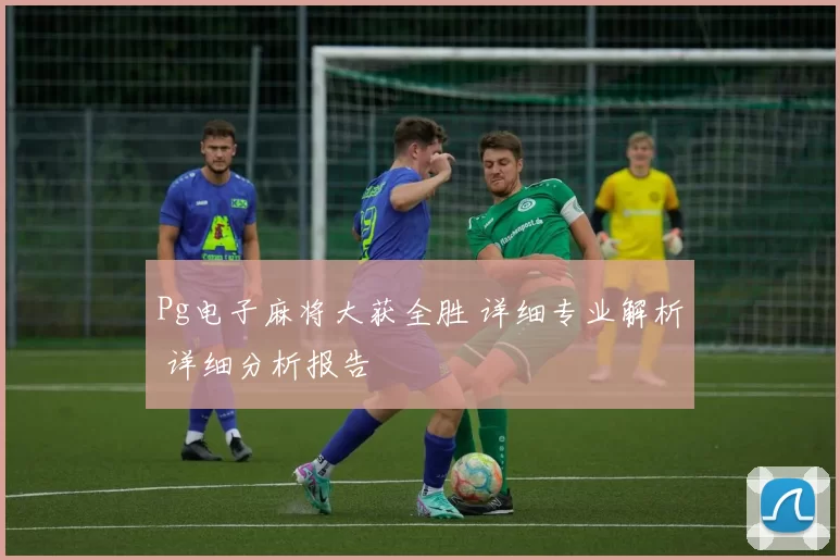 Pg电子麻将大获全胜 详细专业解析 详细分析报告