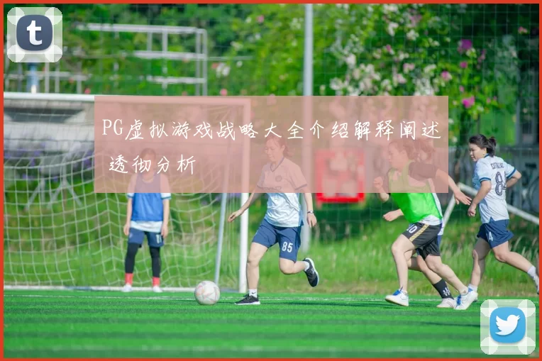 PG虚拟游戏战略大全介绍解释阐述 透彻分析