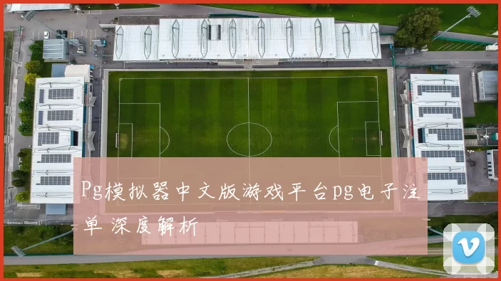 Pg模拟器中文版游戏平台pg电子注单 深度解析