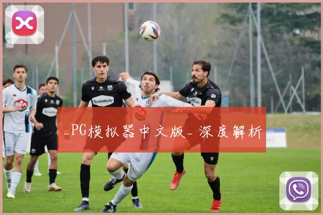 _PG模拟器中文版_ 深度解析